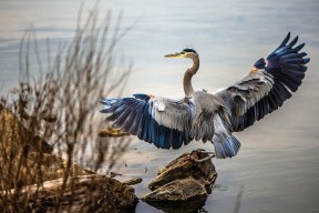 开云下载-体能管理对技术发挥的支撑作用，体能管理都有什么
