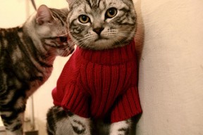 kaiyun网站-中超联赛中国足球爆冷 战术执行遭质疑，中超比赛争议