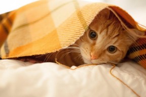 开云官网在线-中国男篮对阵强敌收获经验也暴露不足，中国男篮对阵强敌收获经验也暴露不足的球员