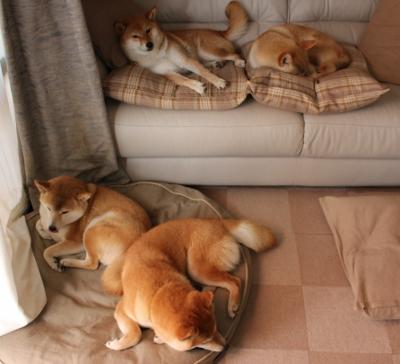 体能管理对技术发挥的支撑作用,体能管理都有什么